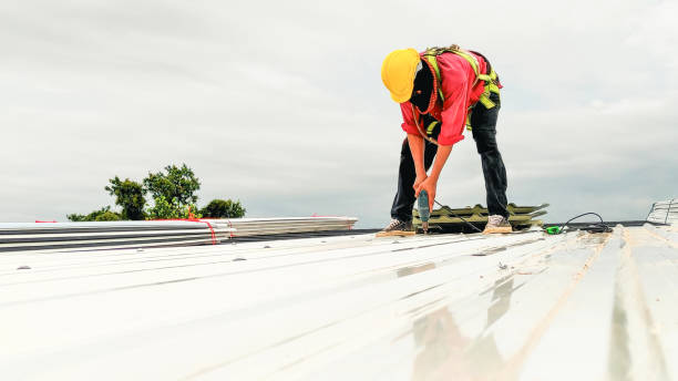 Best Rubber Roofing (EPDM, TPO)  in Union City, PA